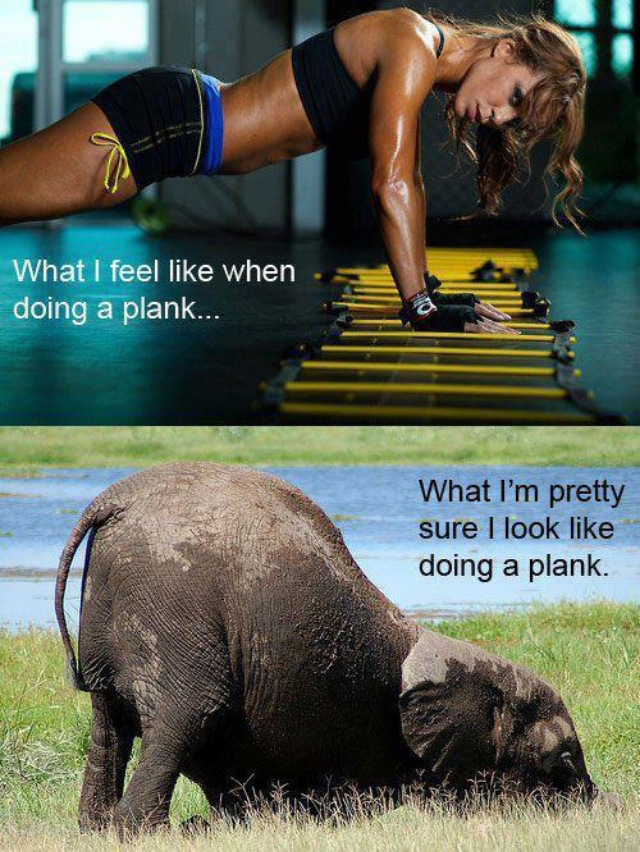 Funniest Fitness Memes from Instagram | The Fit Girl